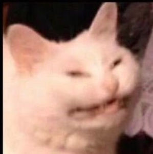 Meet your Posher, Kat